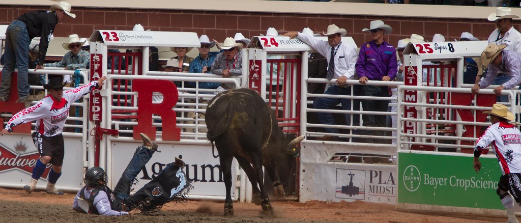 Calgary Stampede-2301.jpg